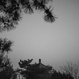 《真实农场：黄金版》已登陆Steam 体验真实农场管理